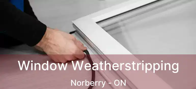  Window Weatherstripping Norberry - ON