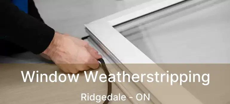  Window Weatherstripping Ridgedale - ON