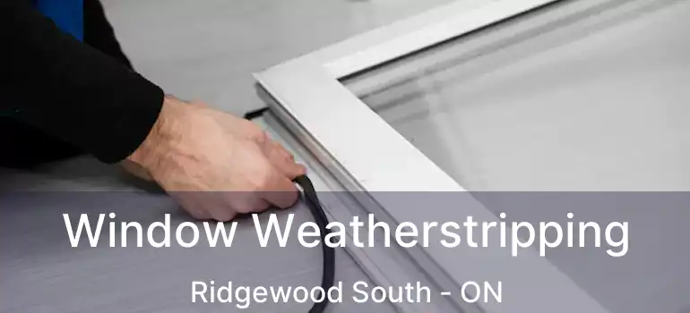  Window Weatherstripping Ridgewood South - ON