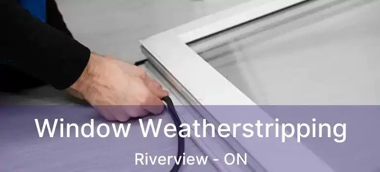  Window Weatherstripping Riverview - ON
