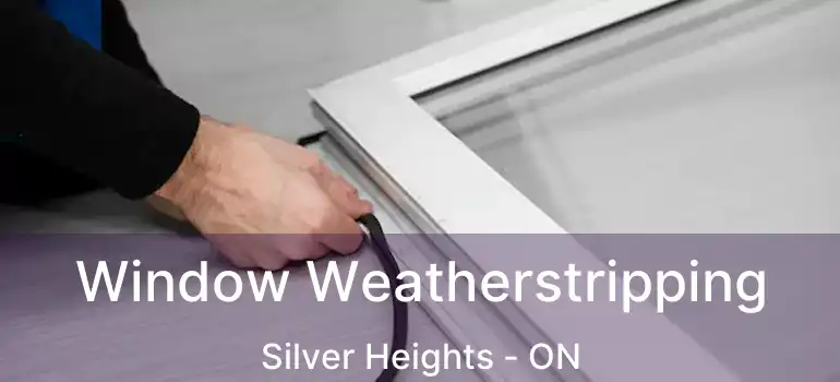  Window Weatherstripping Silver Heights - ON