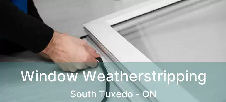  Window Weatherstripping South Tuxedo - ON