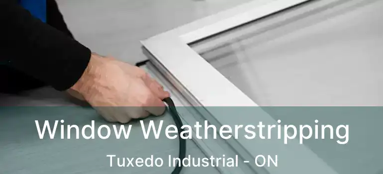  Window Weatherstripping Tuxedo Industrial - ON