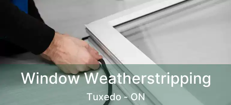  Window Weatherstripping Tuxedo - ON