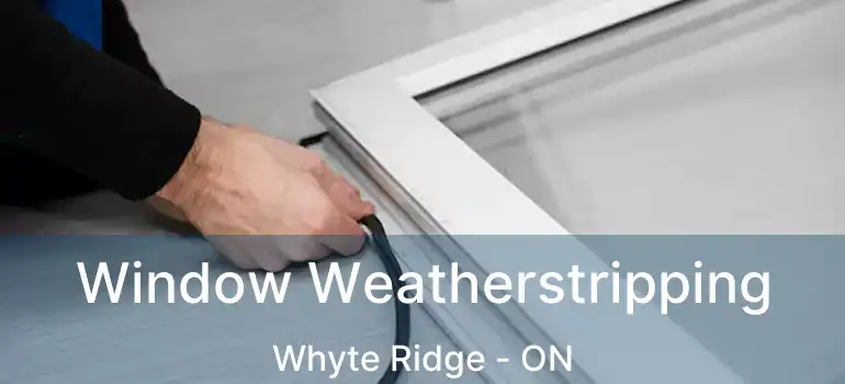  Window Weatherstripping Whyte Ridge - ON