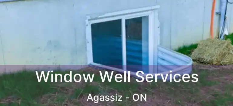  Window Well Services Agassiz - ON