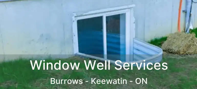  Window Well Services Burrows - Keewatin - ON