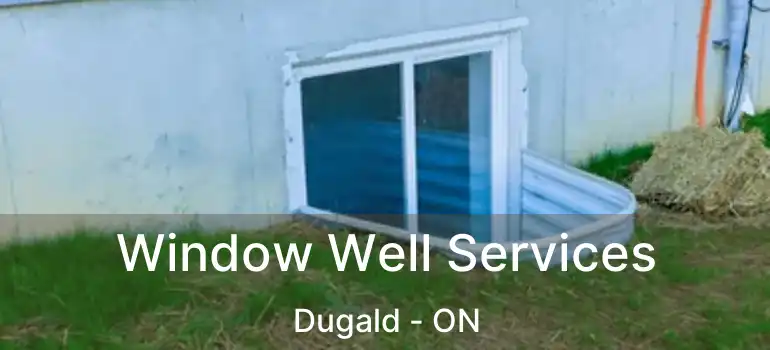  Window Well Services Dugald - ON
