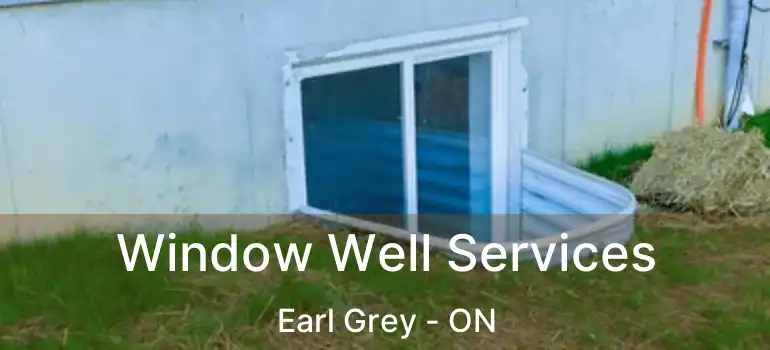  Window Well Services Earl Grey - ON