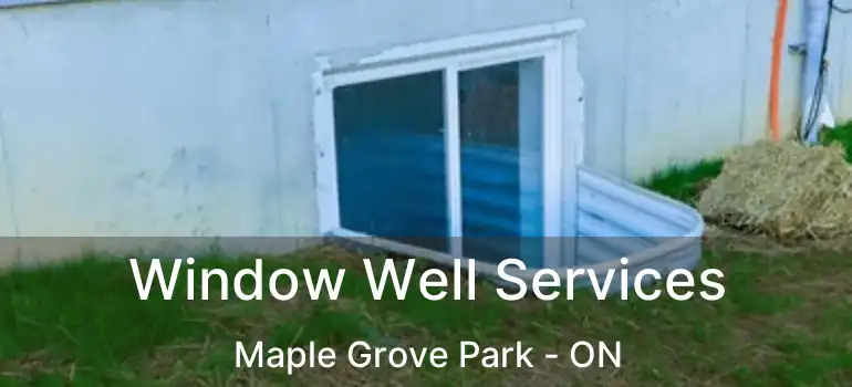  Window Well Services Maple Grove Park - ON