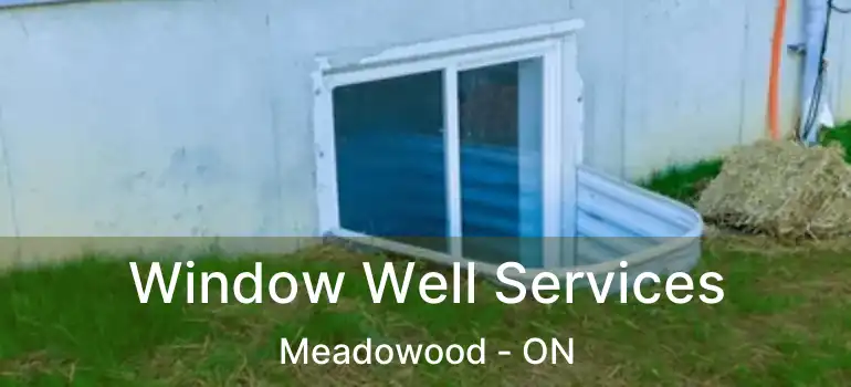  Window Well Services Meadowood - ON