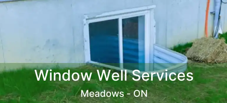  Window Well Services Meadows - ON