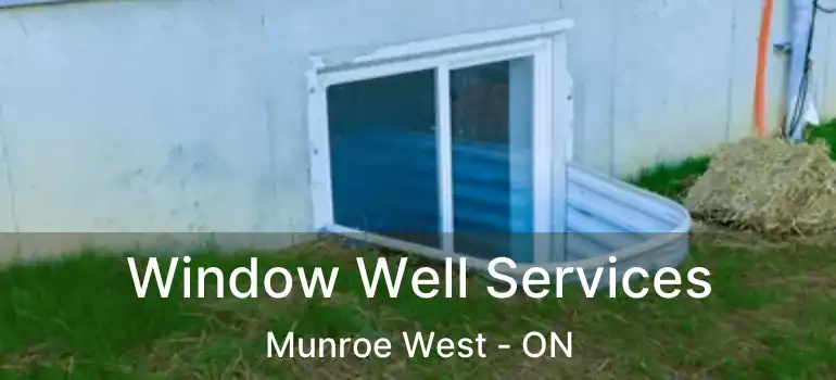  Window Well Services Munroe West - ON