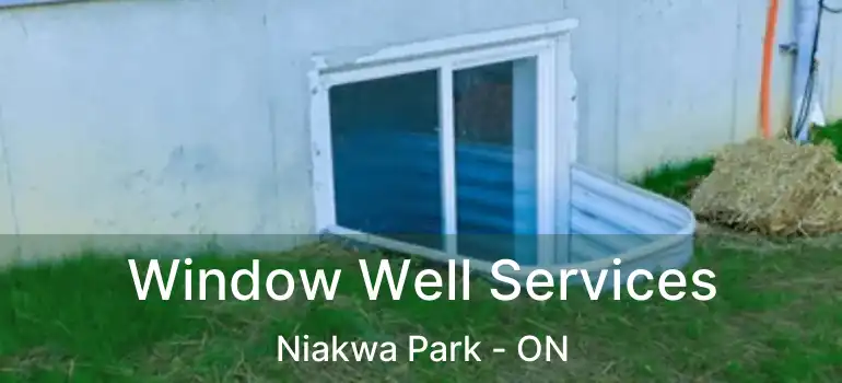  Window Well Services Niakwa Park - ON