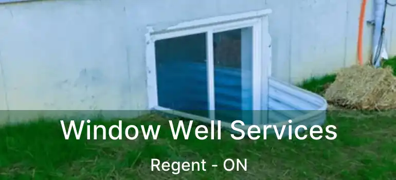  Window Well Services Regent - ON