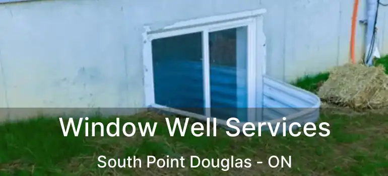  Window Well Services South Point Douglas - ON