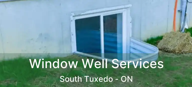  Window Well Services South Tuxedo - ON
