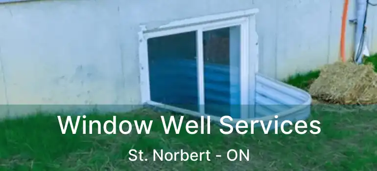  Window Well Services St. Norbert - ON