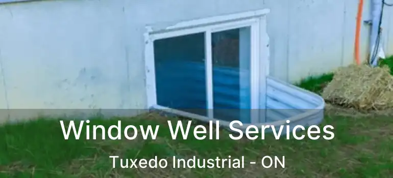  Window Well Services Tuxedo Industrial - ON