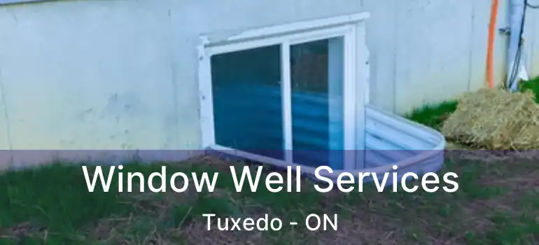  Window Well Services Tuxedo - ON
