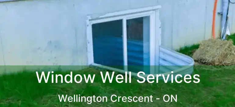  Window Well Services Wellington Crescent - ON
