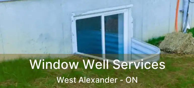  Window Well Services West Alexander - ON