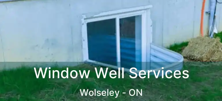  Window Well Services Wolseley - ON