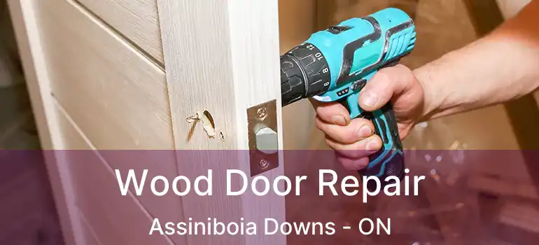  Wood Door Repair Assiniboia Downs - ON
