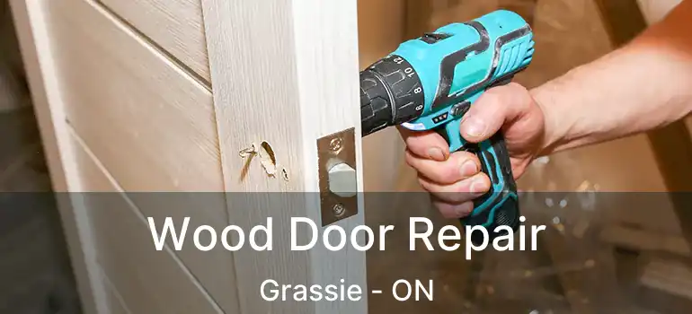  Wood Door Repair Grassie - ON