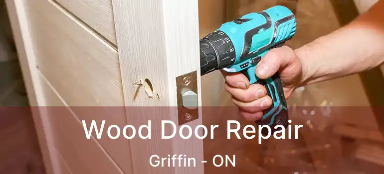  Wood Door Repair Griffin - ON