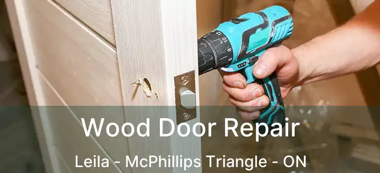  Wood Door Repair Leila - McPhillips Triangle - ON