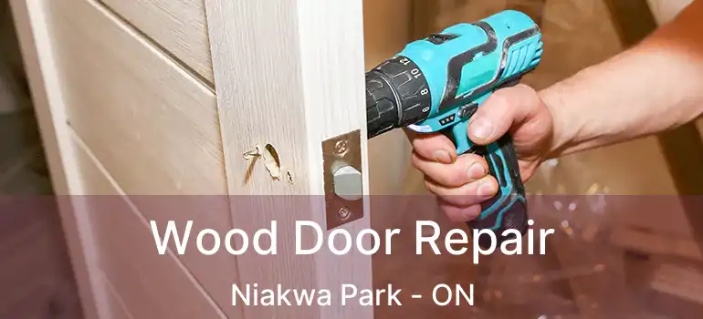  Wood Door Repair Niakwa Park - ON