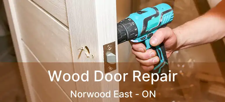  Wood Door Repair Norwood East - ON