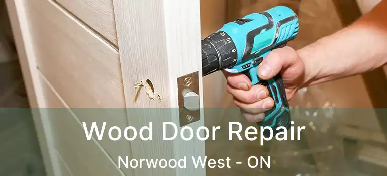  Wood Door Repair Norwood West - ON