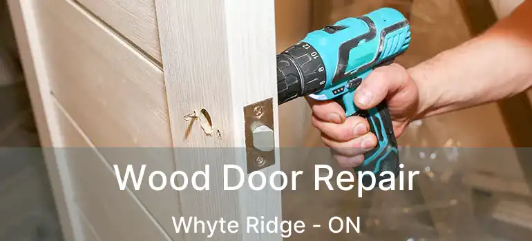  Wood Door Repair Whyte Ridge - ON