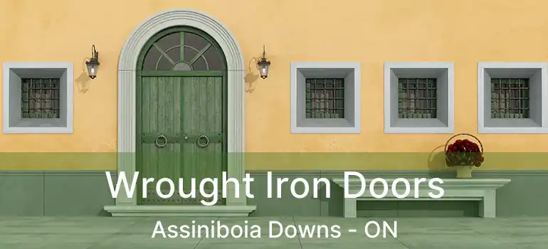 Wrought Iron Doors Assiniboia Downs - ON